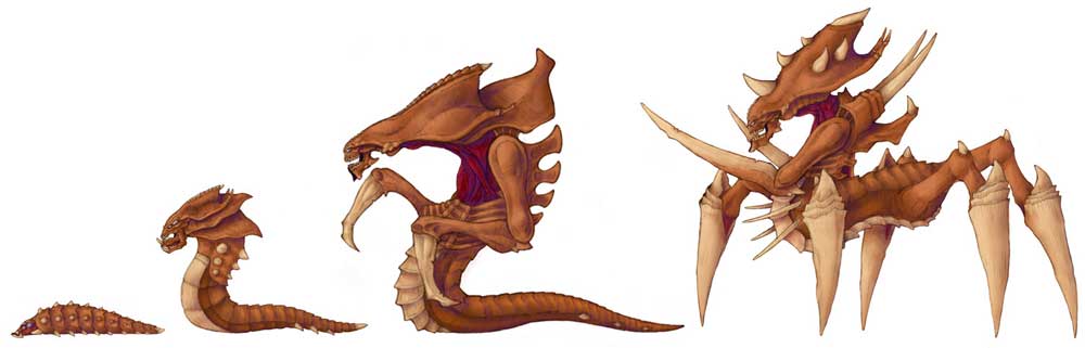 Hydralisk Evolution